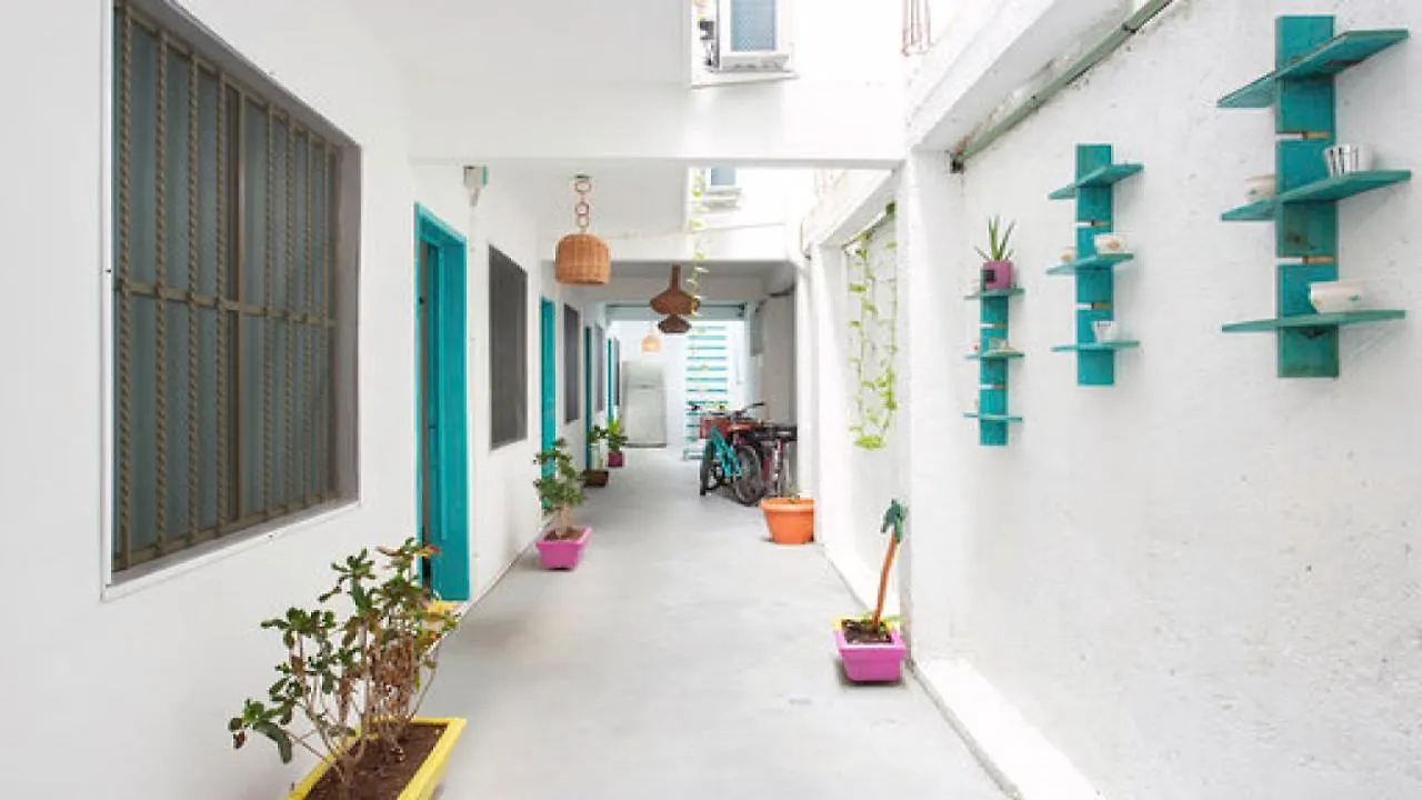 קוזומל Casa Calido Hotel בית אירוח
