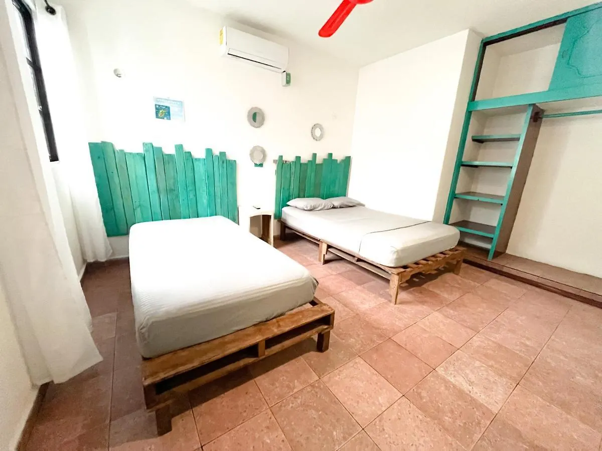 Casa Calido Hotel Cozumel Homestay