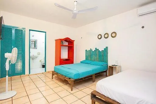 Casa Calido Hotel Cozumel Homestay
