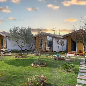 Linda , Shkoder Albania